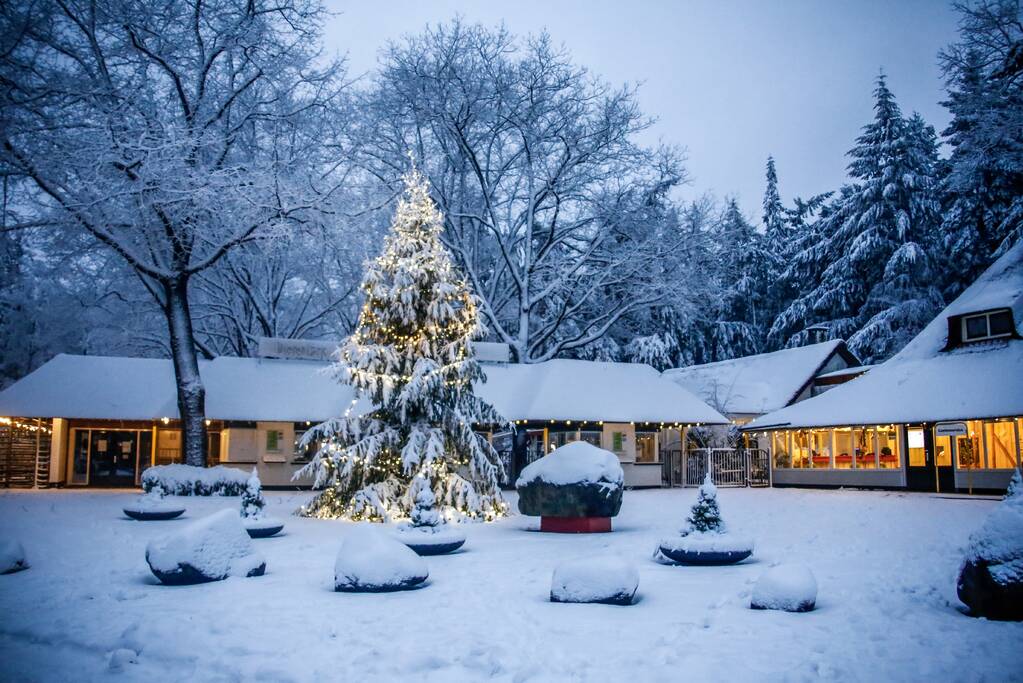 Dierenpark sluit eerder deuren door hevige sneeuwval