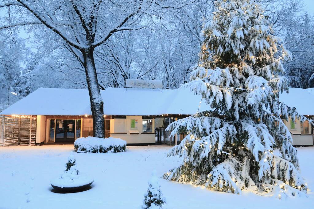 Dierenpark sluit eerder deuren door hevige sneeuwval