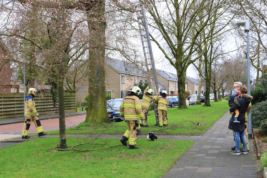 Brandweer verwijderd gevaarlijk hangende takken
