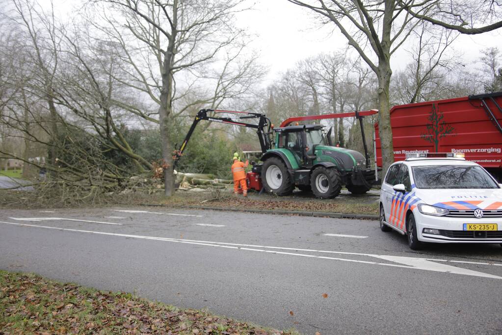 Weg en fietspad verspert door omgewaaide boom