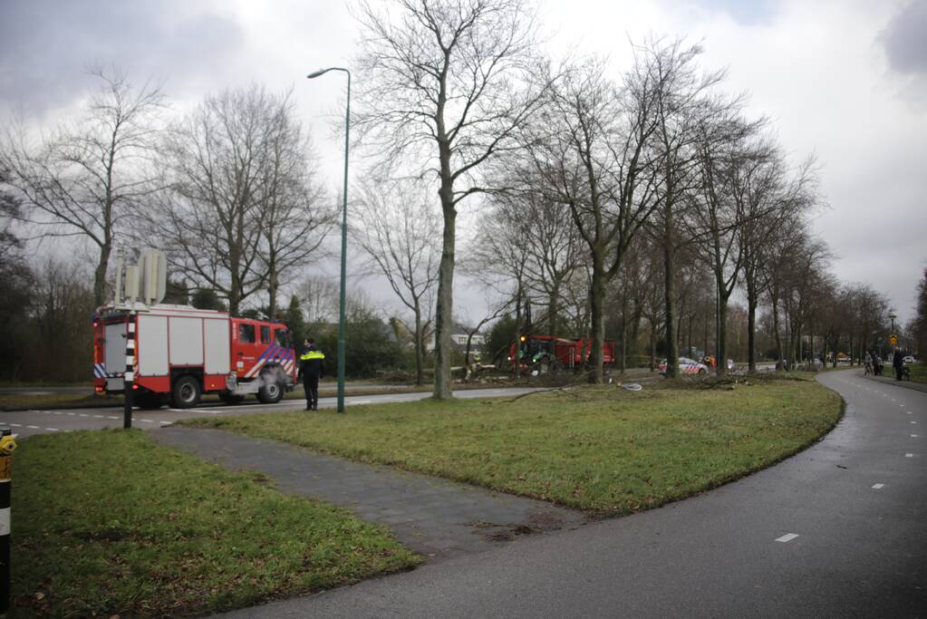 Weg en fietspad verspert door omgewaaide boom