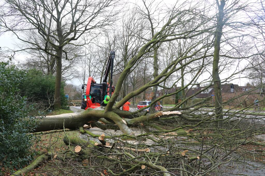 Weg en fietspad verspert door omgewaaide boom
