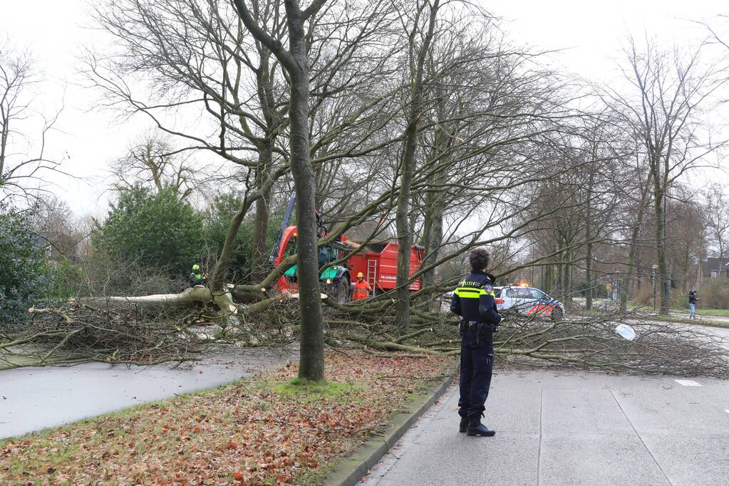 Weg en fietspad verspert door omgewaaide boom