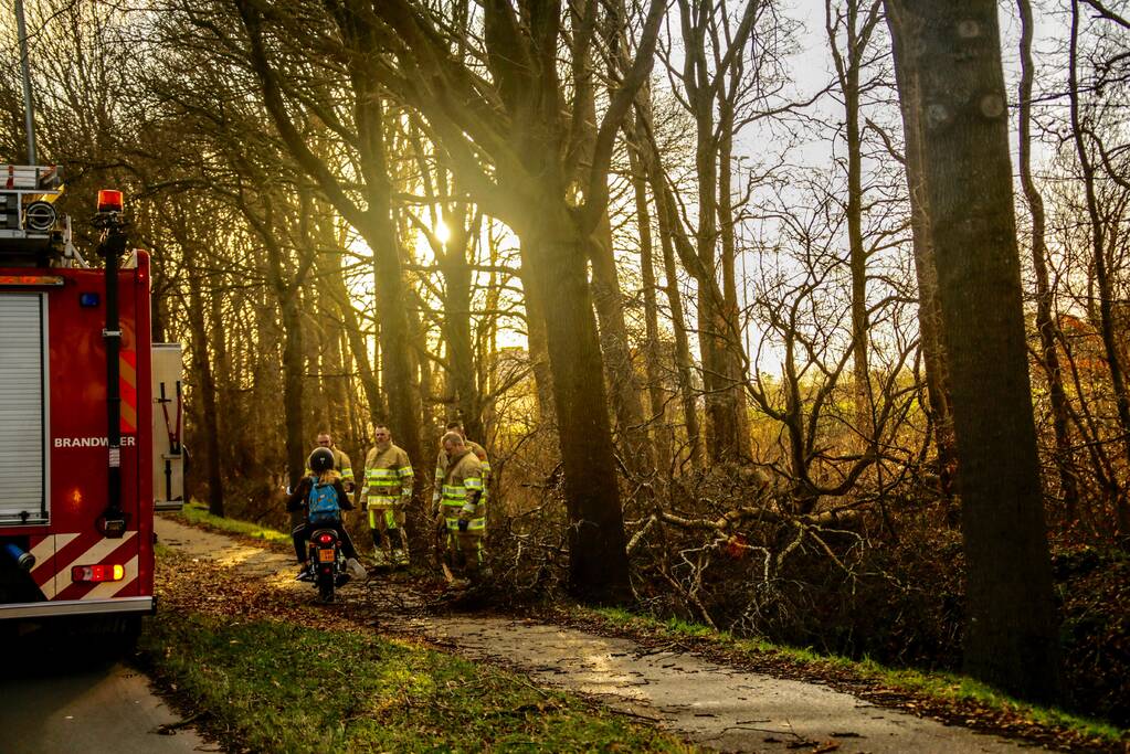 Fietspad verspert door omgewaaide boom