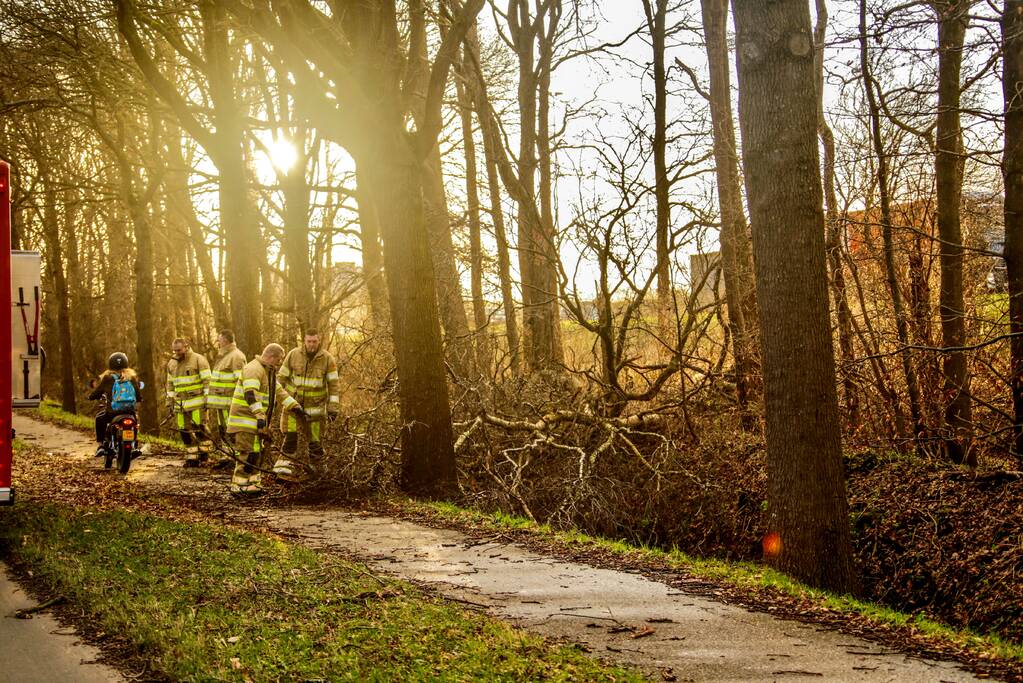 Fietspad verspert door omgewaaide boom