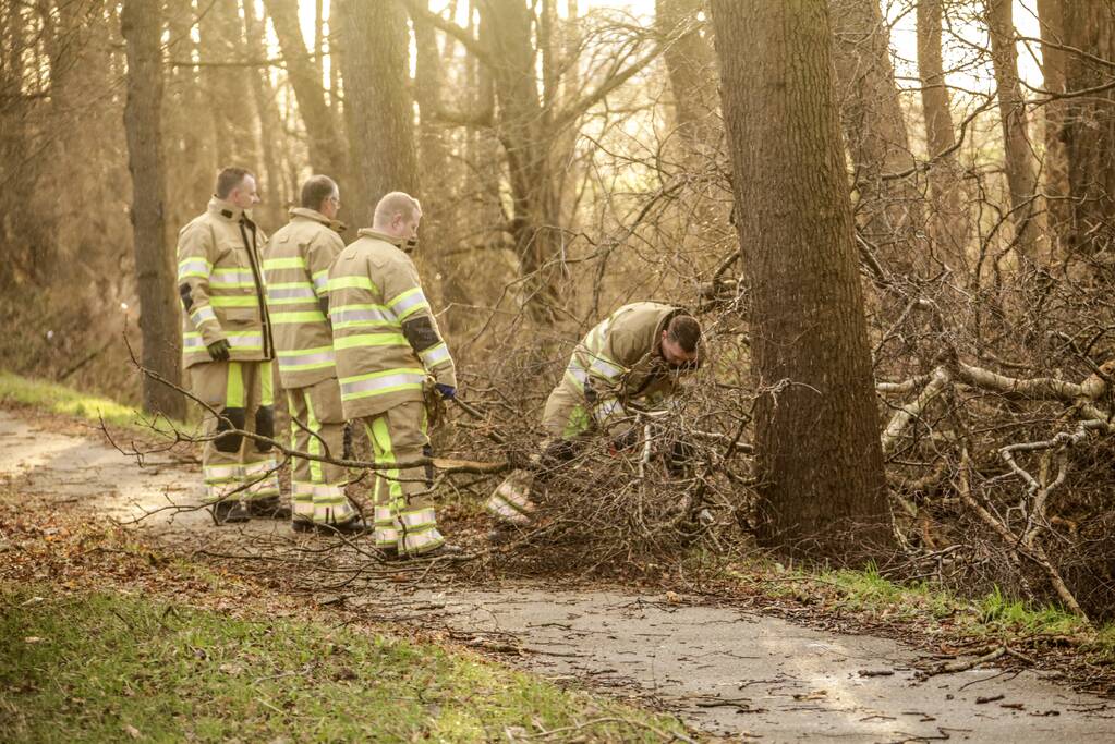Fietspad verspert door omgewaaide boom