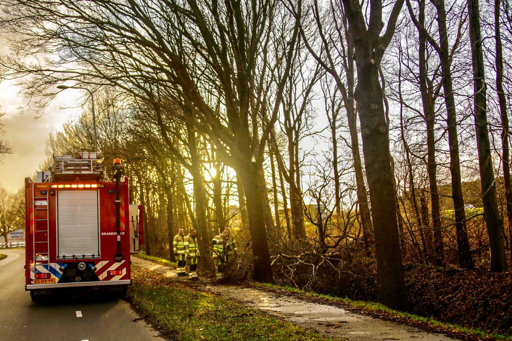 Fietspad verspert door omgewaaide boom
