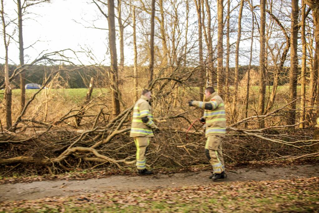 Fietspad verspert door omgewaaide boom