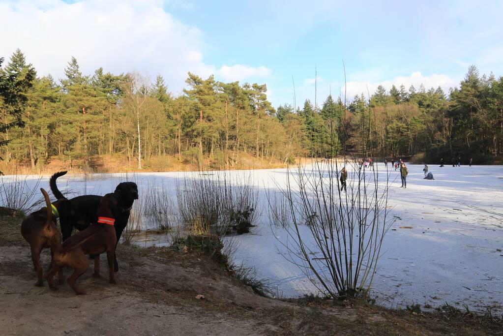 Volop schaatsplezier op Bosvijver