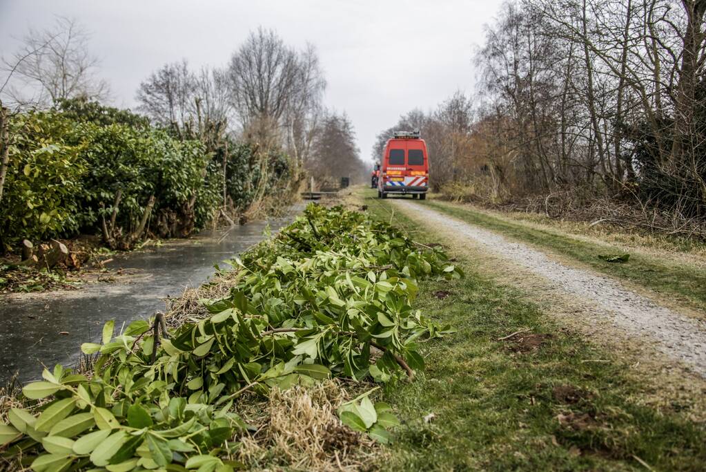 Brandweer redt logeerhond Buck (1,5) uit water De Meent