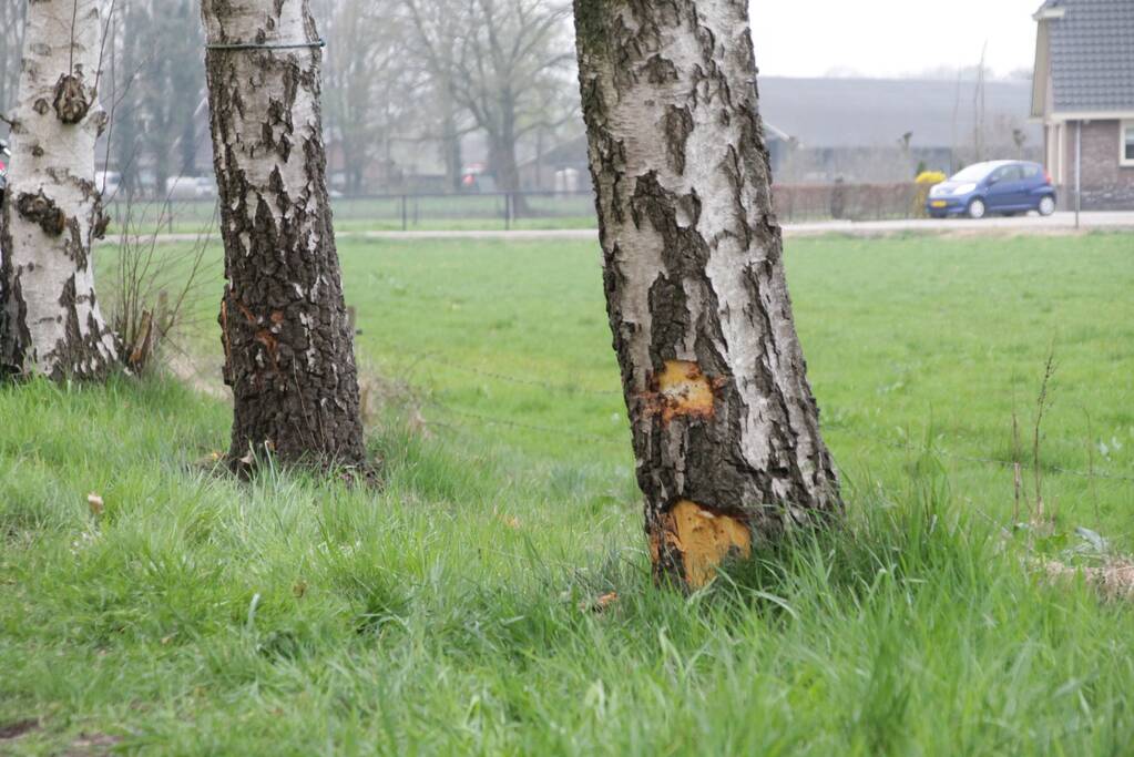 Motorrijder raakt gewond na crash tegen boom