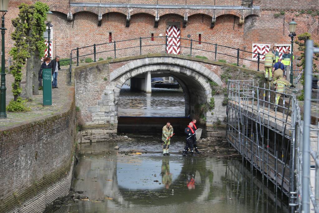 Brandweer redt vastzittende eendjes