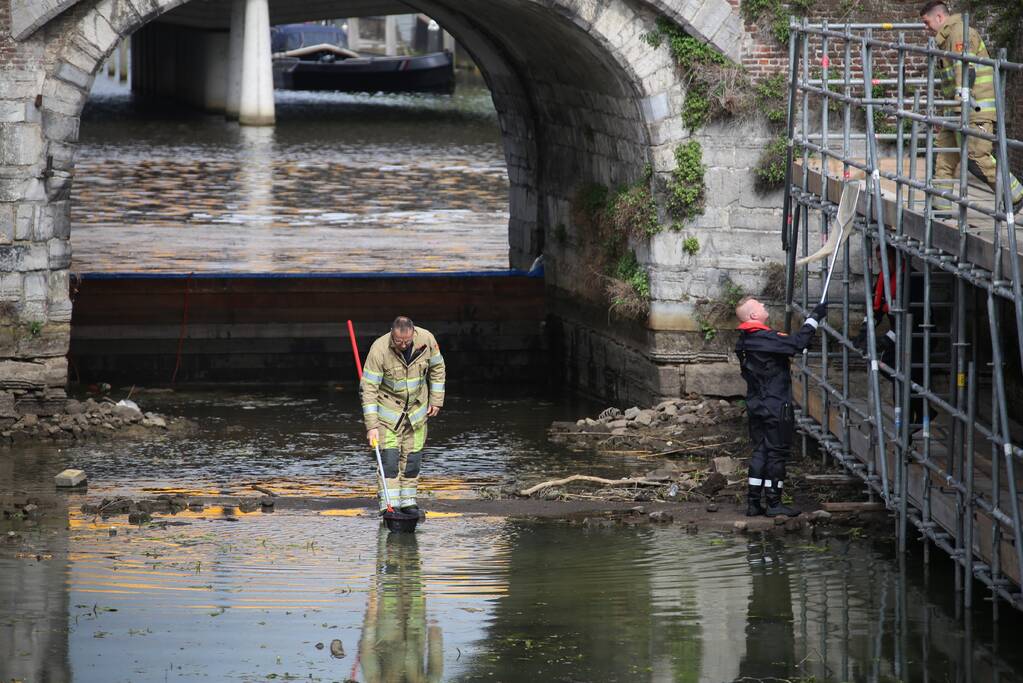 Brandweer redt vastzittende eendjes