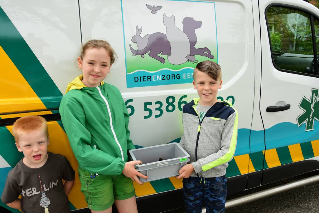 Bram (10) en Jamie (10) redden jonge meerkoetjes uit sloot