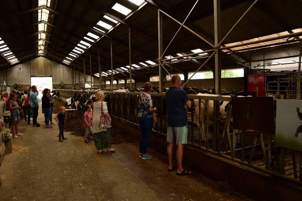 Veel publiek bij open dag en koeiendans