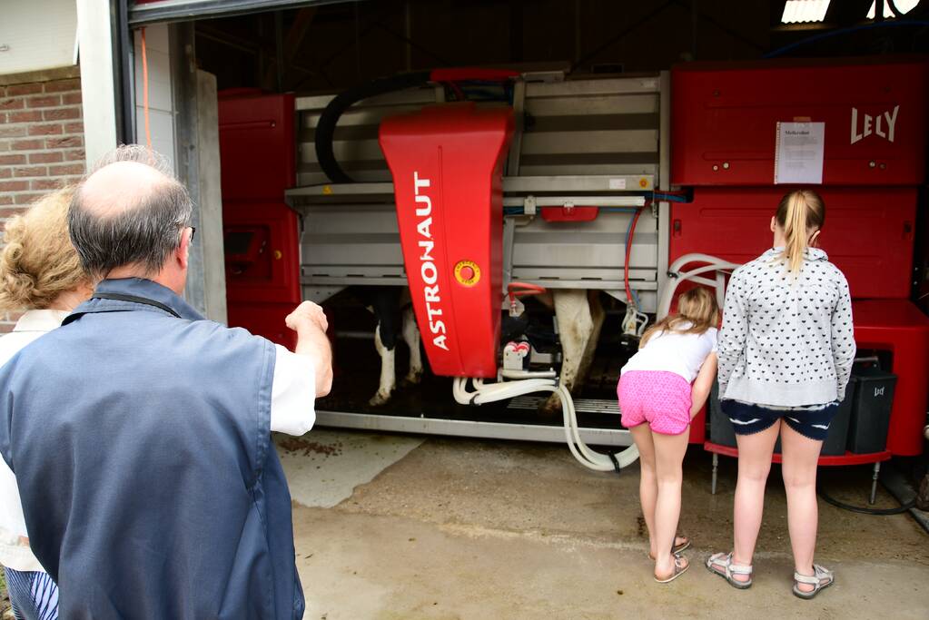 Veel publiek bij open dag en koeiendans