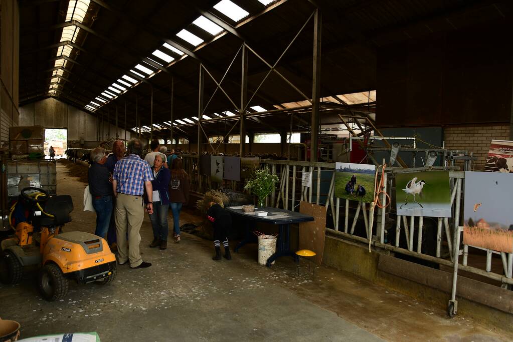 Veel publiek bij open dag en koeiendans