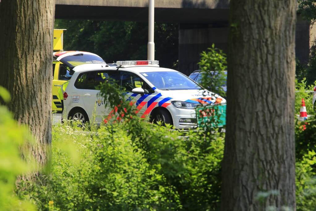 Remactie op snelweg voor overstekende eendjes veroorzaakt ongeval