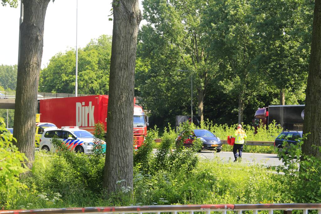 Remactie op snelweg voor overstekende eendjes veroorzaakt ongeval
