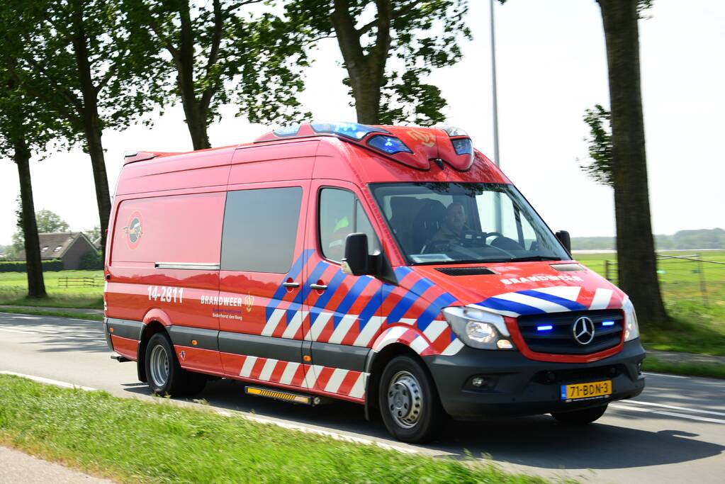 Te water geraakt paard gered door de brandweer