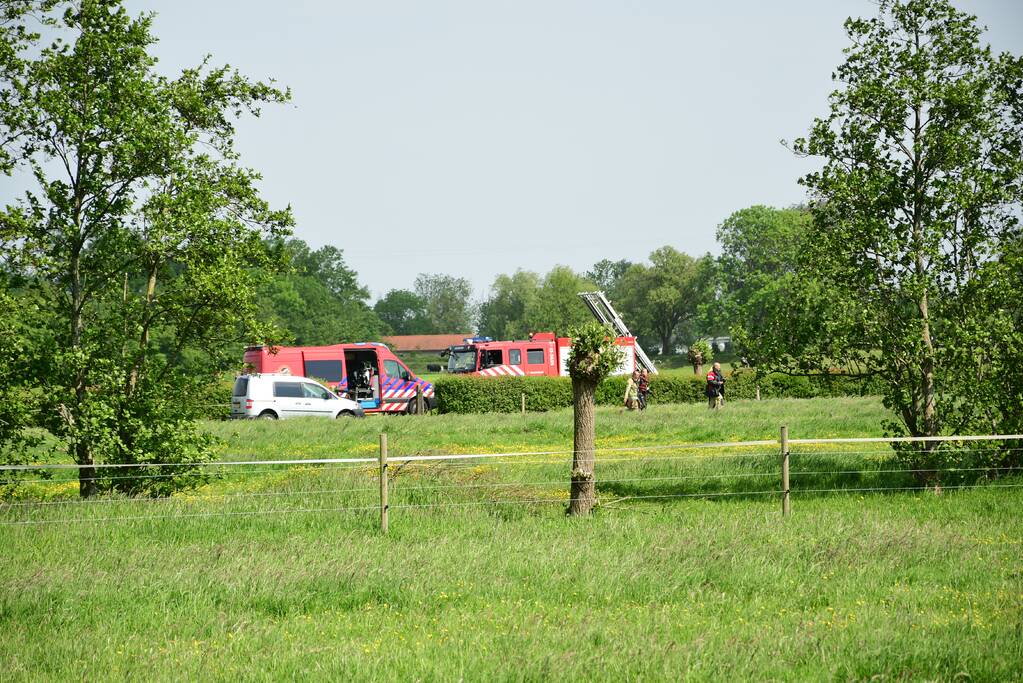 Te water geraakt paard gered door de brandweer
