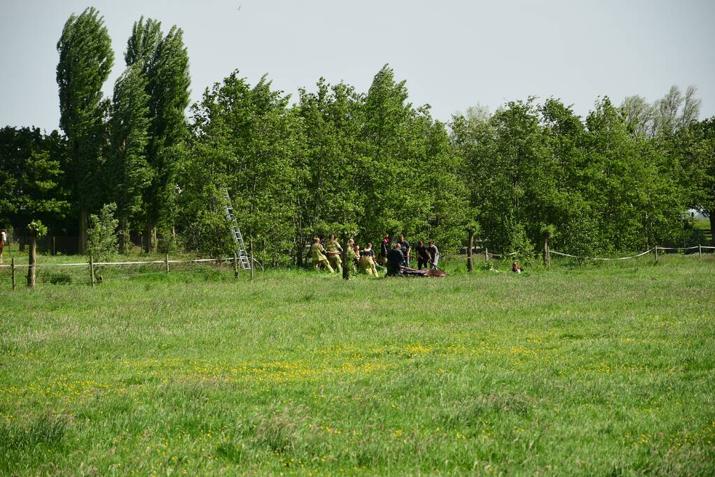 Te water geraakt paard gered door de brandweer