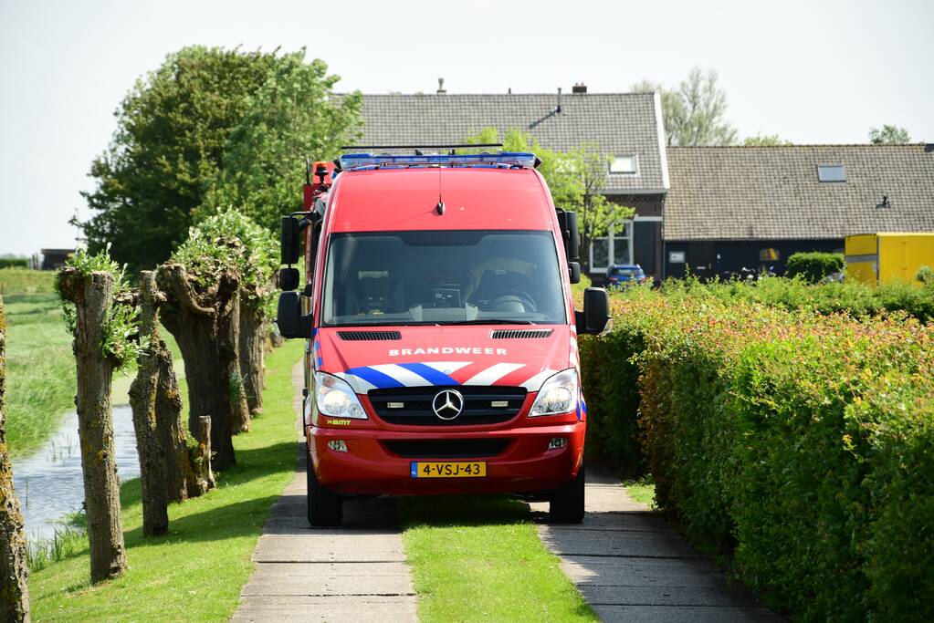 Te water geraakt paard gered door de brandweer