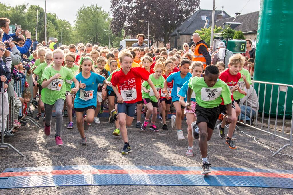 Veel publiek bij 34e Klaverblad Verzekeringen Dorpsloop