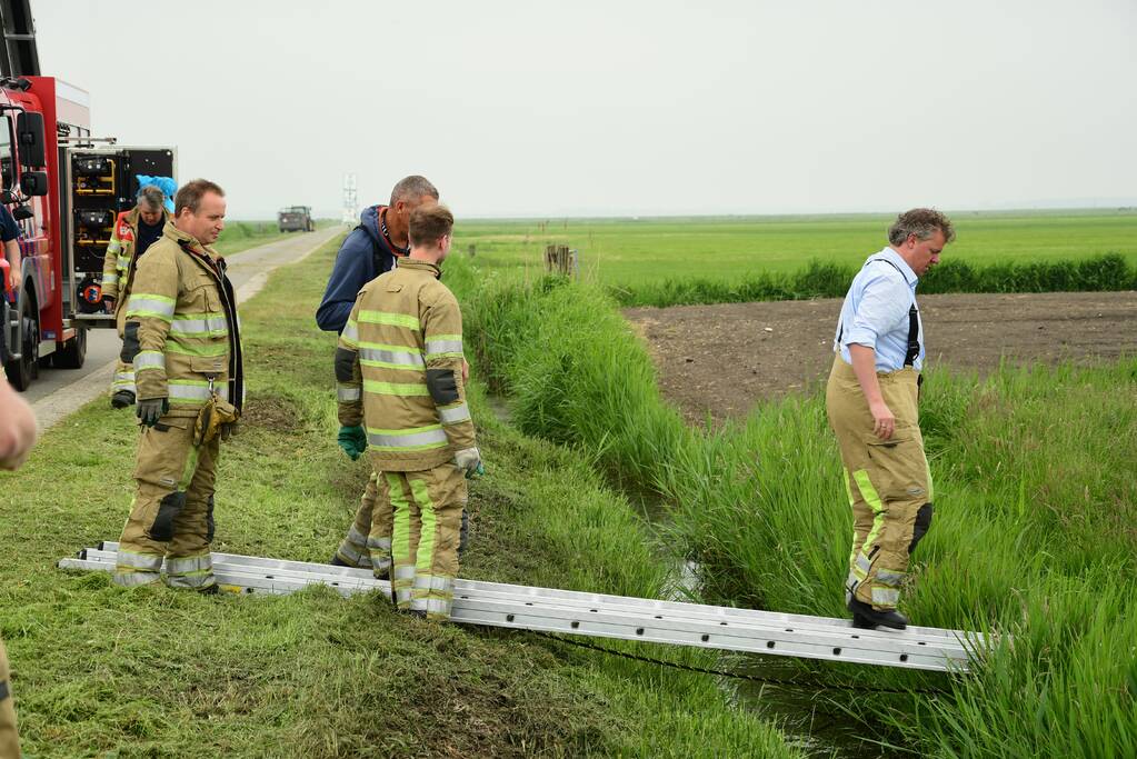 Mountainbiker treft eenzame koe aan in sloot