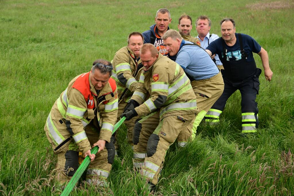 Mountainbiker treft eenzame koe aan in sloot