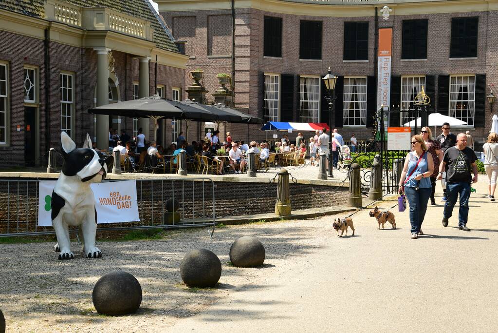Kasteel in teken van hondenevenement