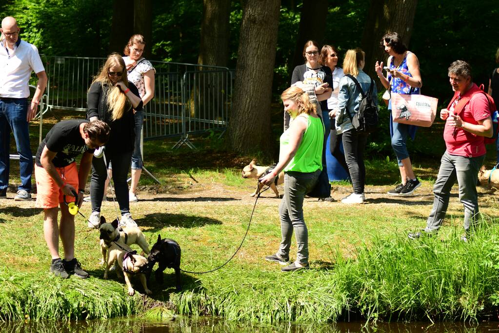 Kasteel in teken van hondenevenement