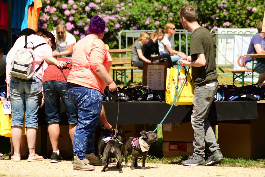 Kasteel in teken van hondenevenement