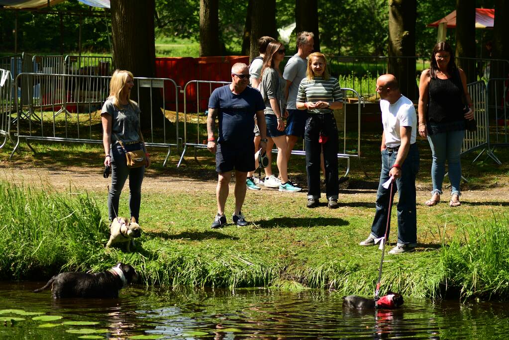 Kasteel in teken van hondenevenement