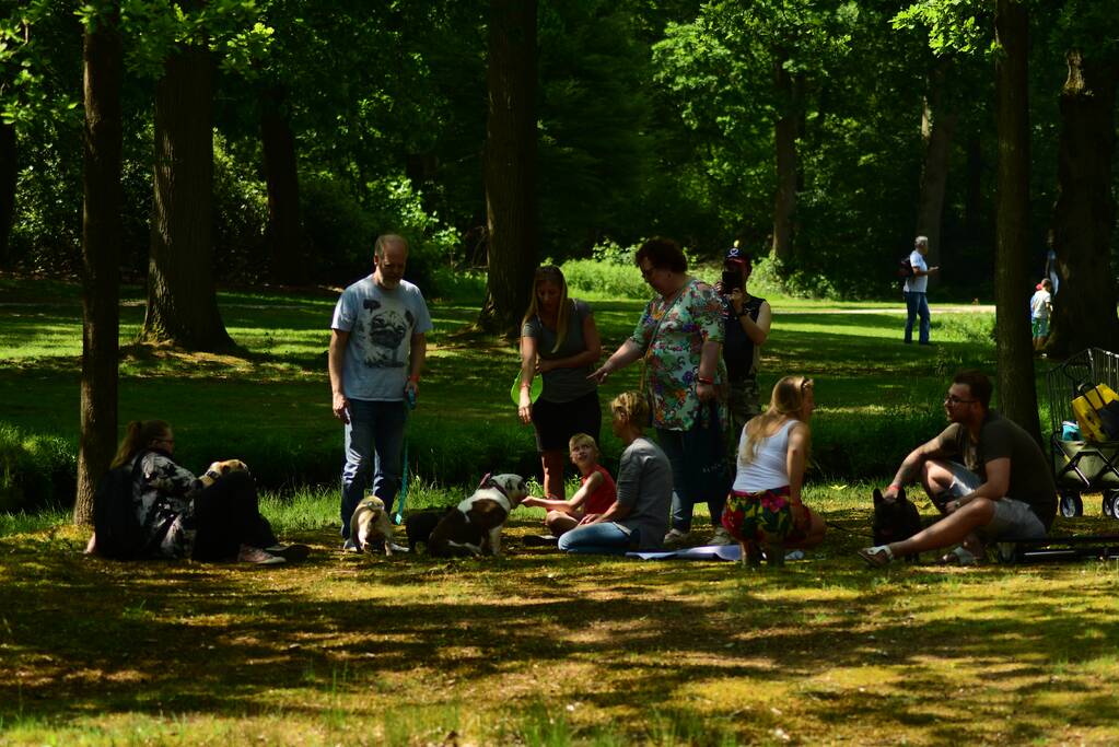 Kasteel in teken van hondenevenement