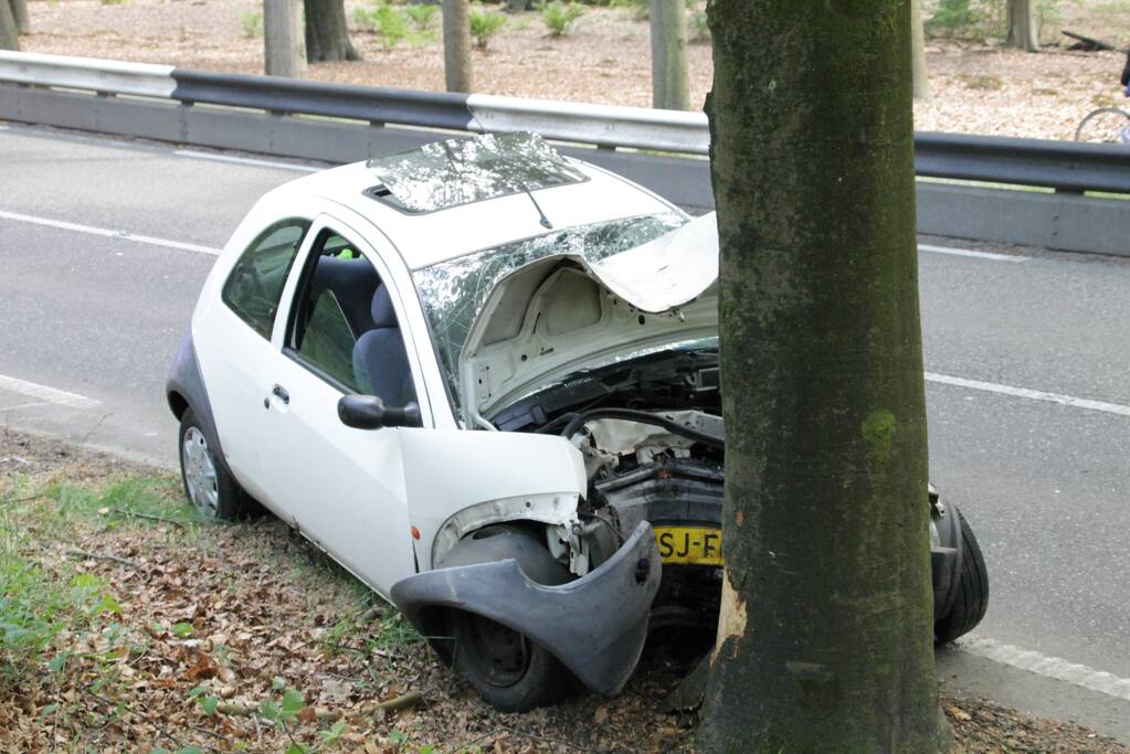Automobilist gewond na botsing met boom