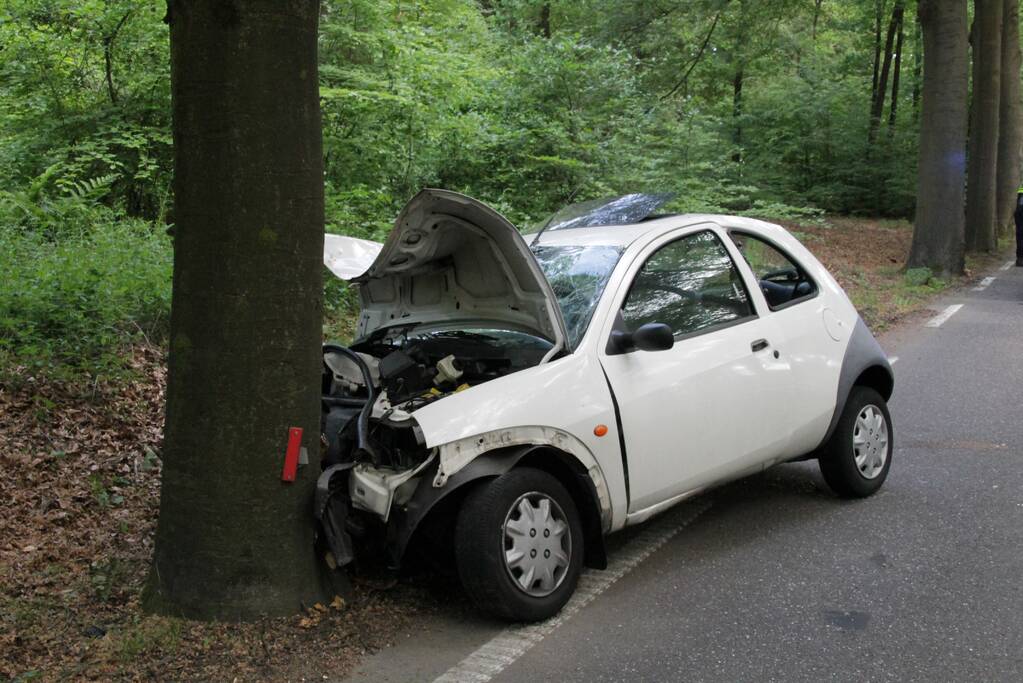 Automobilist gewond na botsing met boom