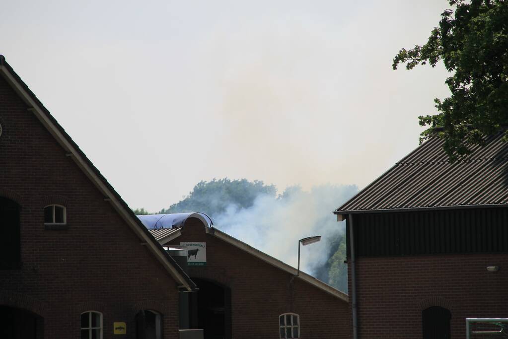 Brand in stal