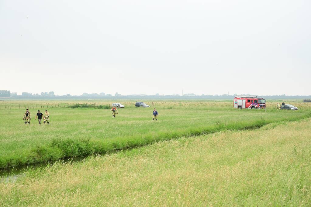 Voorbijgangers zien lammetje in de sloot