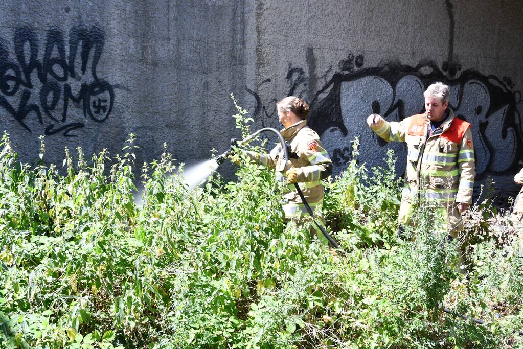 Bermbrand onder viaduct van snelweg