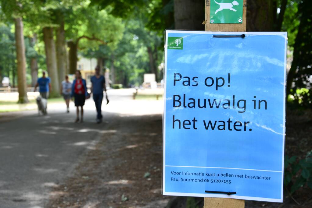 Staatsbosbeheer waarschuwt voor blauwalg bij Kasteel Groeneveld