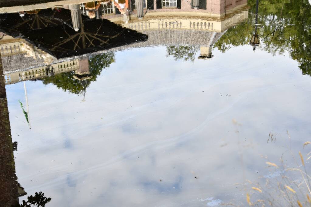 Staatsbosbeheer waarschuwt voor blauwalg bij Kasteel Groeneveld