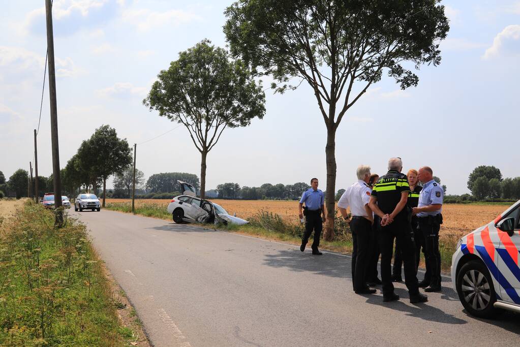 Veel schade na botsing tegen boom