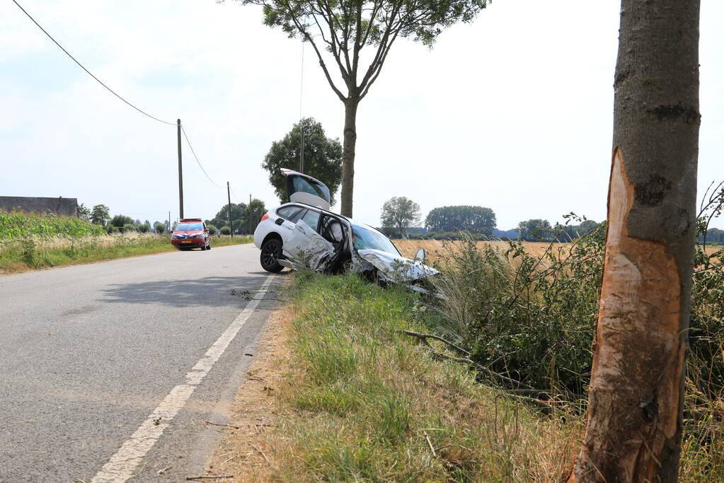 Veel schade na botsing tegen boom