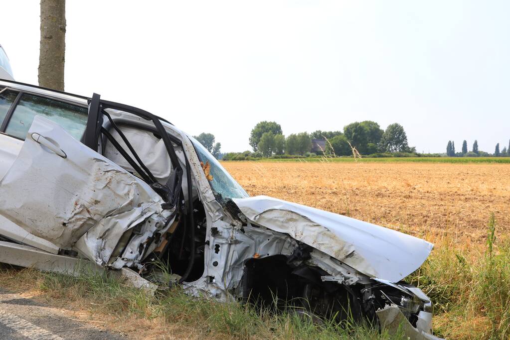 Veel schade na botsing tegen boom