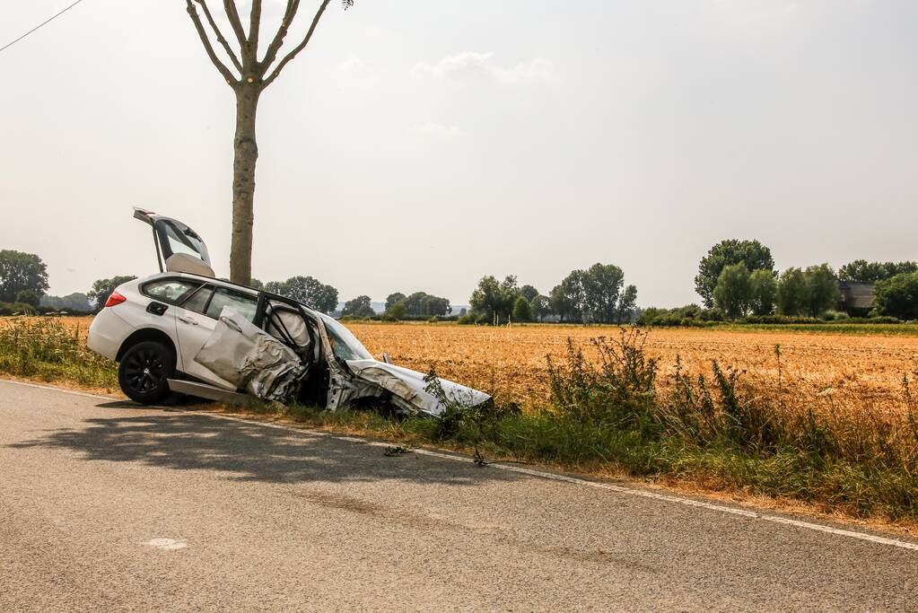 Veel schade na botsing tegen boom