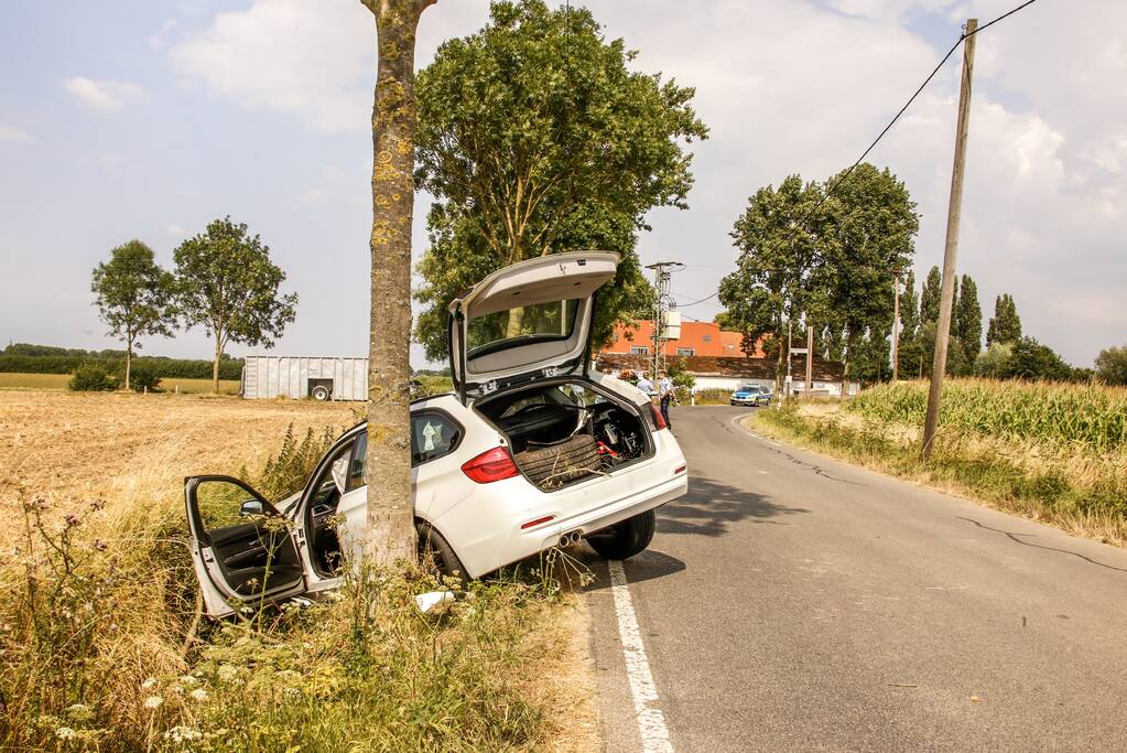 Veel schade na botsing tegen boom