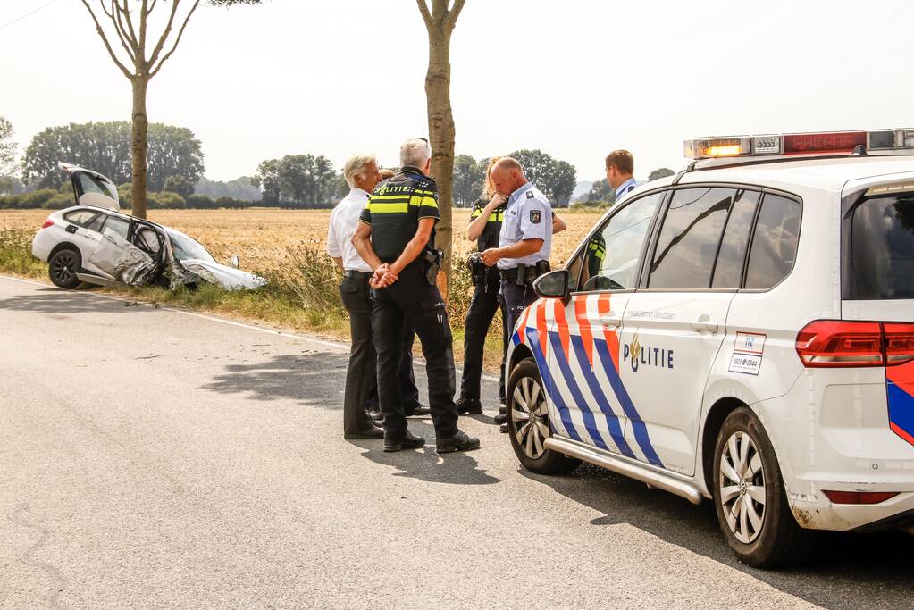 Veel schade na botsing tegen boom