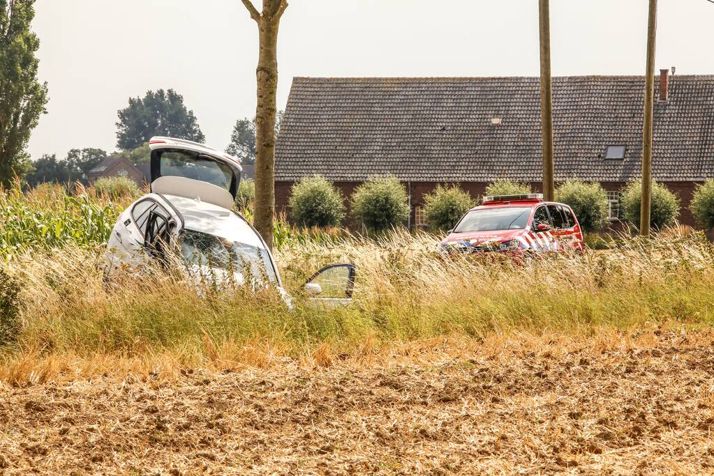 Veel schade na botsing tegen boom