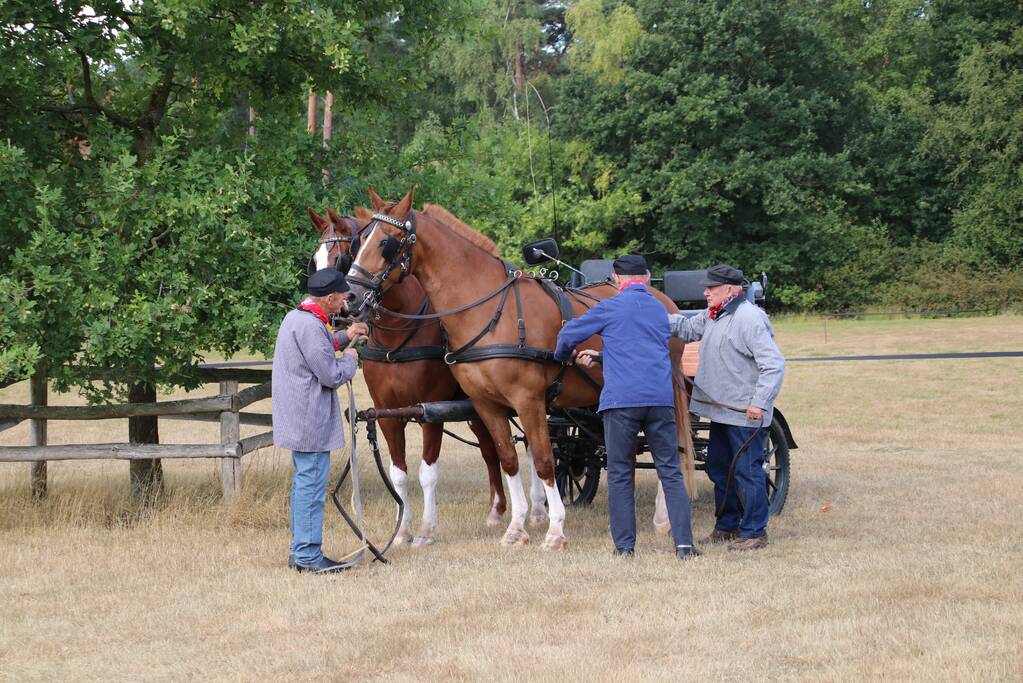 24e editie Oogstdag druk bezocht